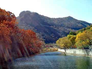 新澳天天开奖资料大全旅游团，阜康seo排名